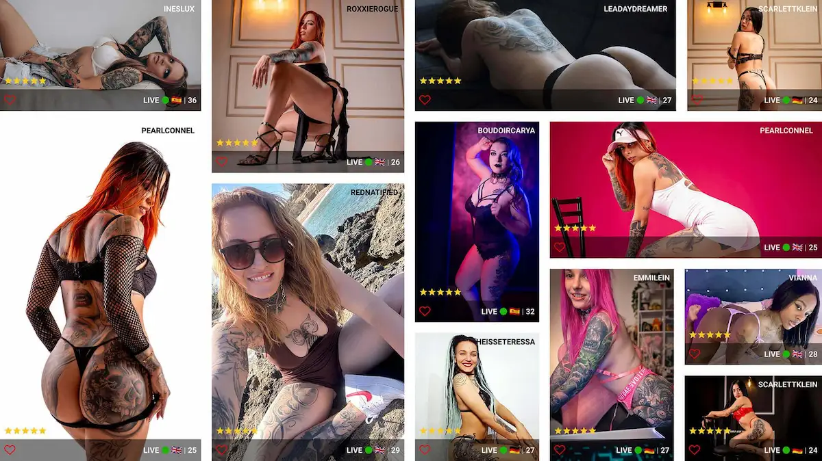 Mature Planet Live Video Chat